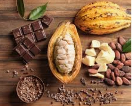 チョコレートダイエットの正しいやり方 効果のある3つの方法で痩せる ディアナイト