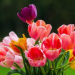 簡単で人気ダイエットレシピまとめ！低カロリー＆ヘルシーで美味しい