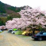関東で春に人気おすすめキャンプ場10選！花見ができて景色がきれい