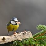 Outlook 予定表で会議の予約を設定する方法を図で詳しく説明！