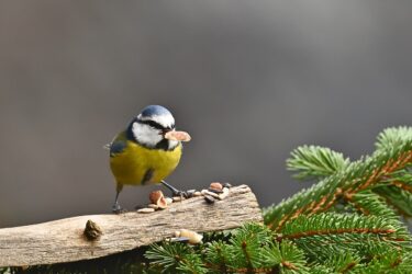 Outlook 予定表で会議の予約を設定する方法を図で詳しく説明！